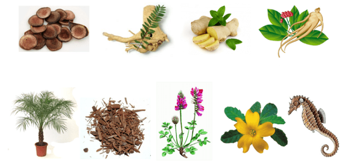 Natural remedies to increase potency