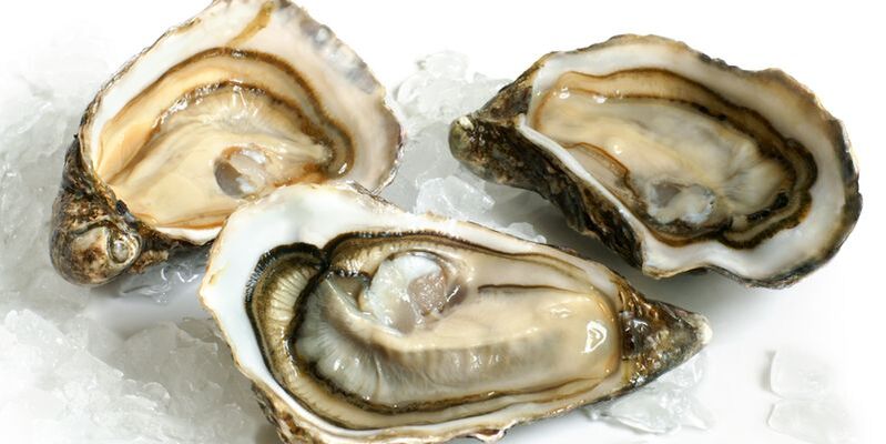 Oyster Potency Photo 2