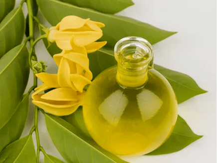 Aromatherapy to improve energy